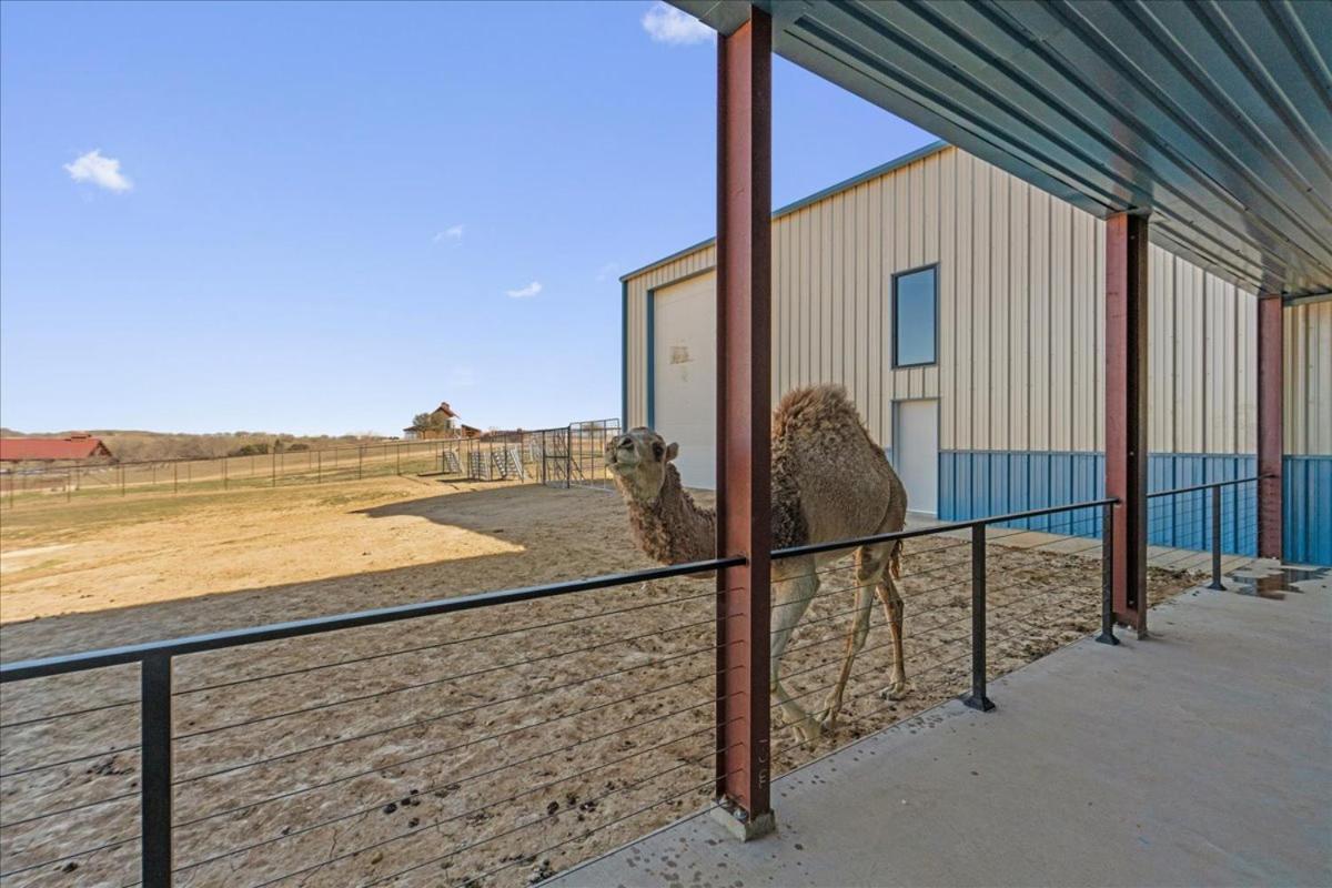 Blue Hills Ranch Ξενοδοχείο McGregor Εξωτερικό φωτογραφία