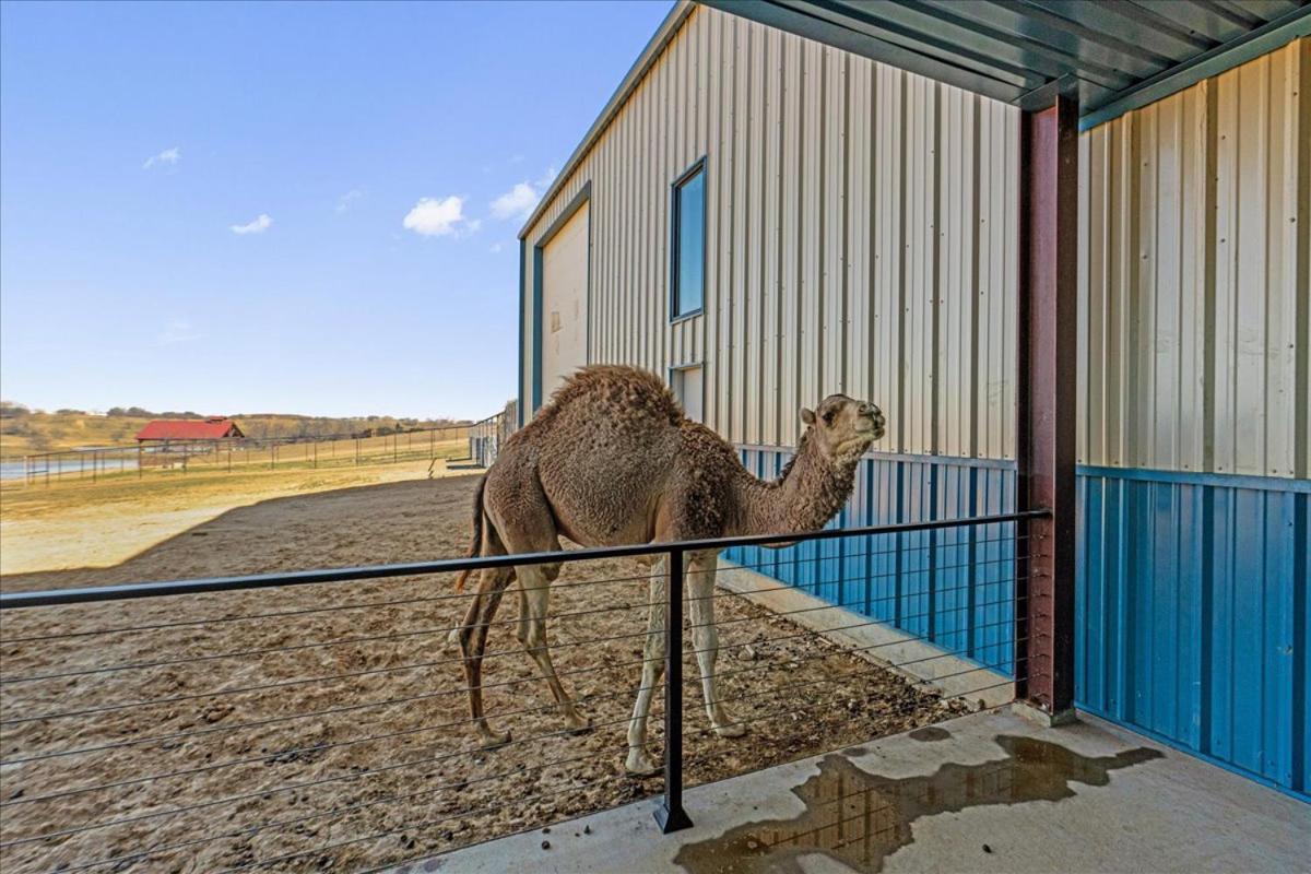 Blue Hills Ranch Ξενοδοχείο McGregor Εξωτερικό φωτογραφία